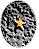 star1.gif (1668 bytes)